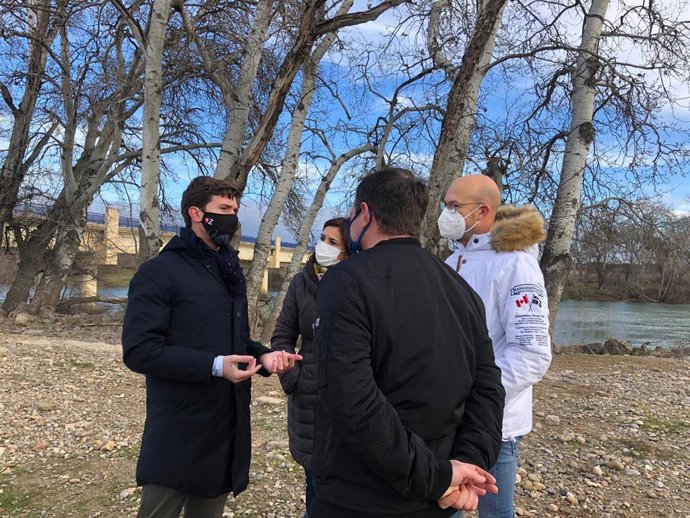 Celma (PP) reitera la urgencia de que el Gobierno de Aragón limpie el cauce del Ebro y drague zonas concretas.