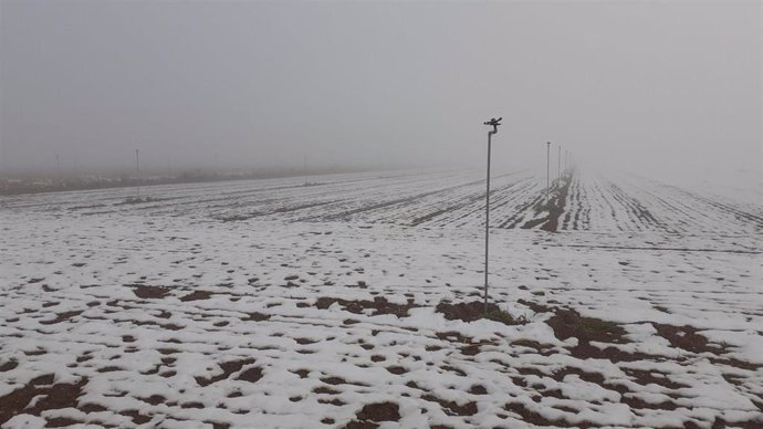 Campo en Los Monegros con nieve.