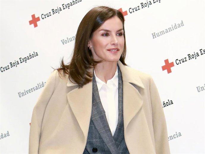 La Reina Letizia participa en una Sesión de Trabajo en el marco de las Jornadas de Cruz Roja Violencia de Género: Estrategias y retos en la sede de la Cruz Roja, en Madrid (España), a 16 de enero de 2020.