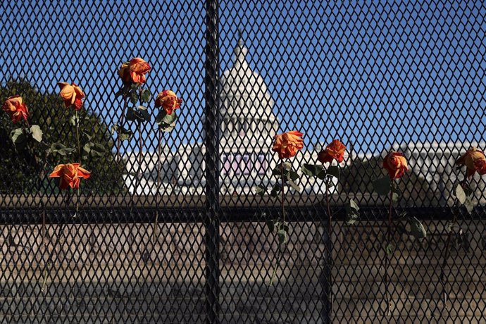 Varias flores engarzadas en una de las vallas que rodean el Capitolio de los Estados Unidos como medida de seguridad para la toma de posesión de Joe Biden.