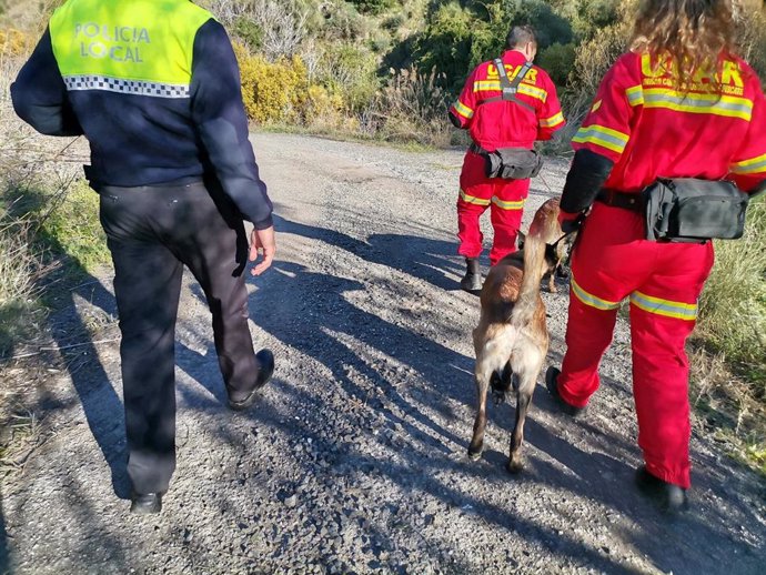 Policía Local de Casabermeja junto a Unidades Caninas de Rescate realizando labores de búsqueda de un anciano de dicha localidad
