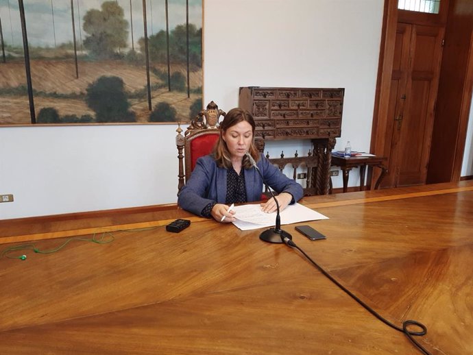 La portavoz de la Diputación de Lugo, Pilar García Porto, en rueda de prensa
