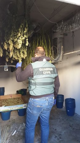 Intervención de la Guardia Civil en La Roda