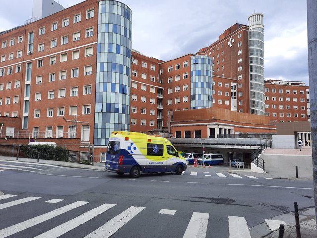 Hospital de Cruces, en Barakaldo (Bizkaia).