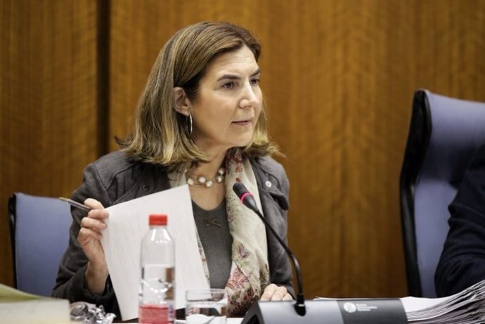 La consejera de Empleo, Rocío Blanco, en comisión parlamentaria,  foto de archivo