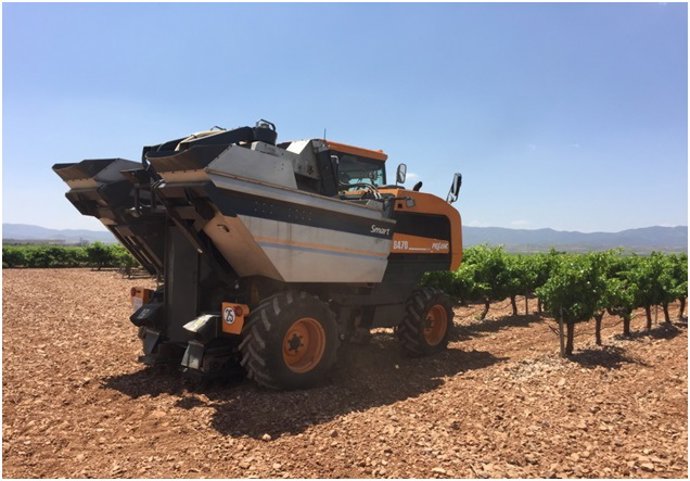 ITAINNOVA y Grandes Vinos y Viñedos utilizan IoT para realizar la trazabilidad de la elaboración del vino.