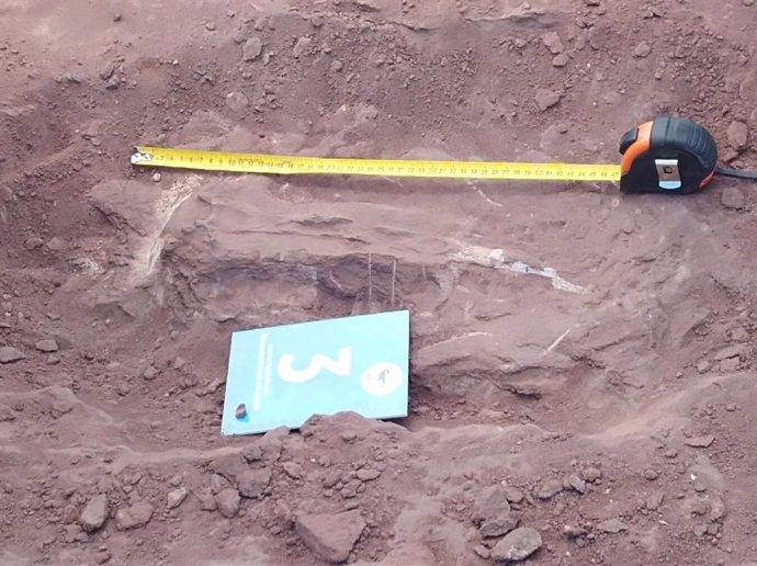 Restos del titanosaurio, encontrado por trabajadores de Pampa Energía