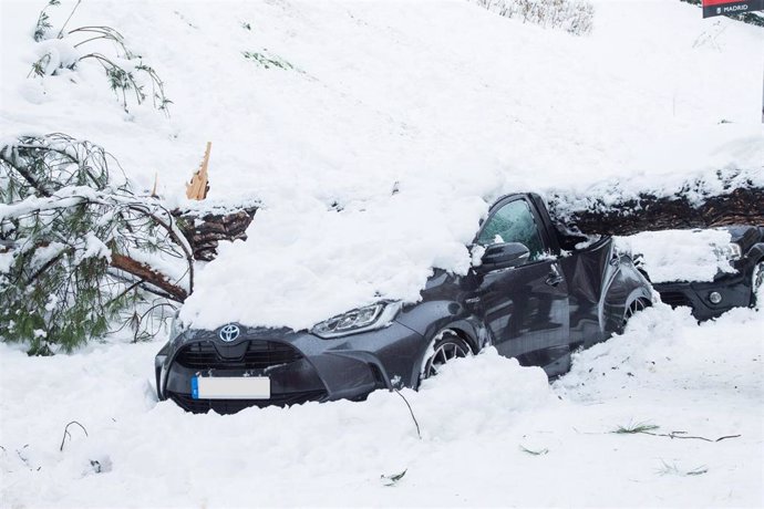 Un vehículo aplastado por un árbol durante la gran nevada provocada por la borrasca Filomena,  en Madrid (España), a 9 de enero de 2021. La borrasca 'Filomena' ha provocado una intensa nevada en la Comunidad de Madrid, principalmente en la capital y e