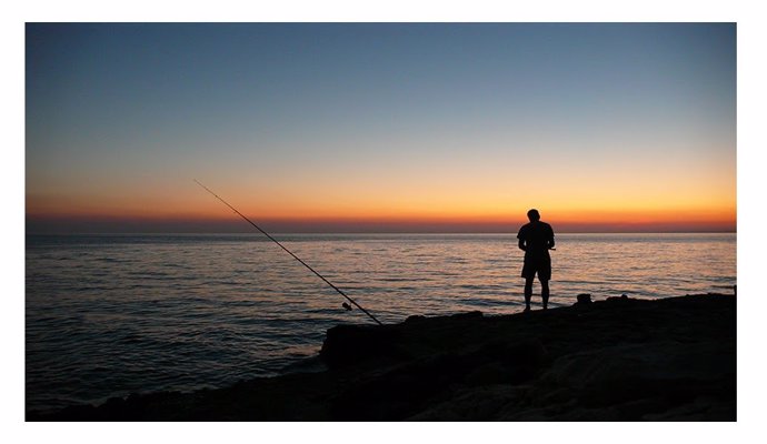 La Generalitat crea un guía de especies de pesca recreativa para la práctica responsable