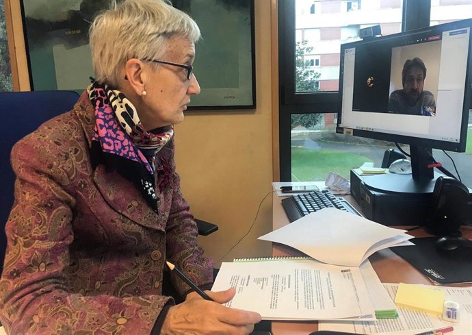 La consejera de Educación del Principado de Asturias, Carmen Suárez, durante una reunión telemática con el concejal de Educación y Cultura de Gijón, Alberto Ferrao