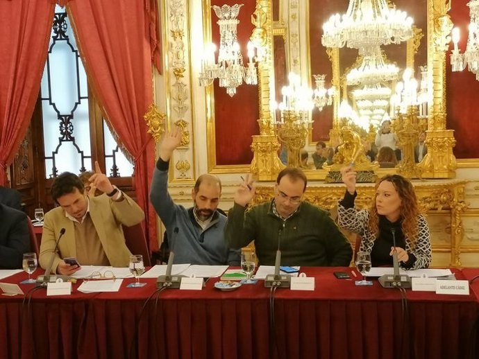 Cádiz.- Coronavirus.- Adelante presenta más de 20 medidas para la reconstrucción de la provincia tras el covid-19
