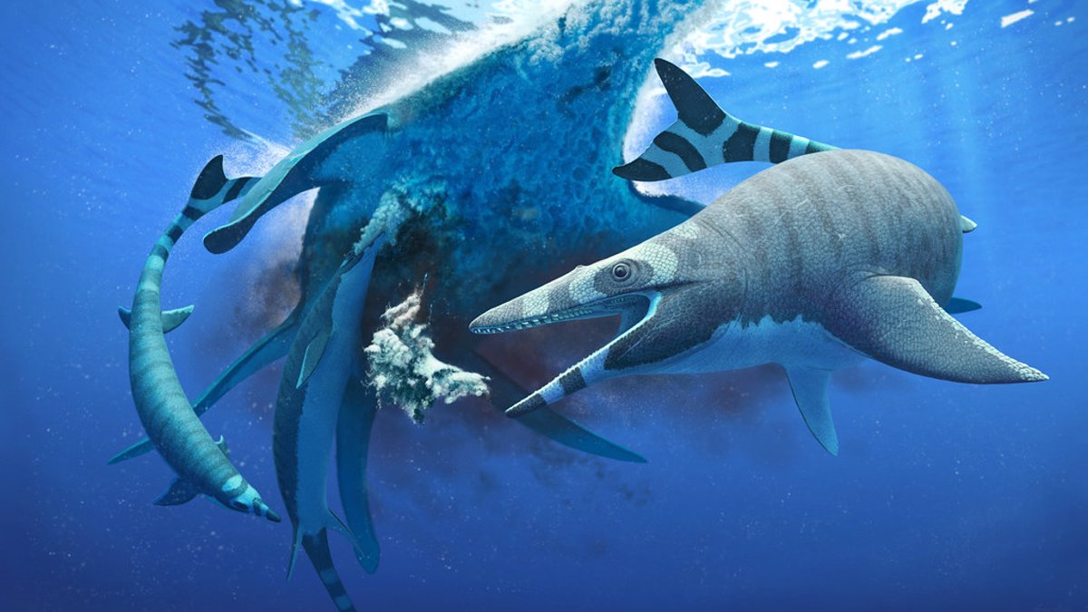 Un lagarto marino de la era de los dinosaurios con dientes de tiburón