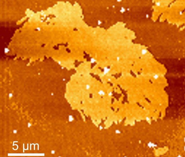 Tela de tejido molecular reconocida con el récord Guinness