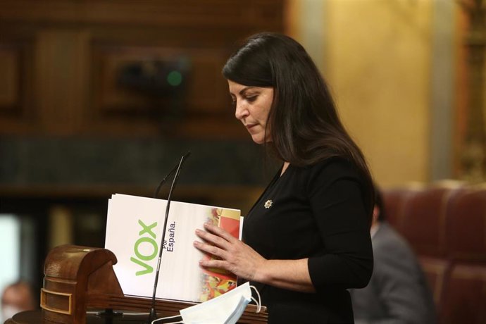 Vox cree "obvio" que el TC vea delito en el ultraje a la bandera, pero critica que priorice esa sentencia sobre otras 