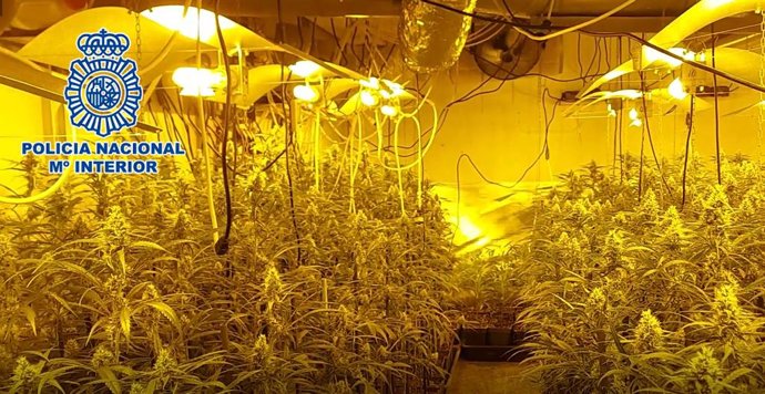 Vídeo de la noticia