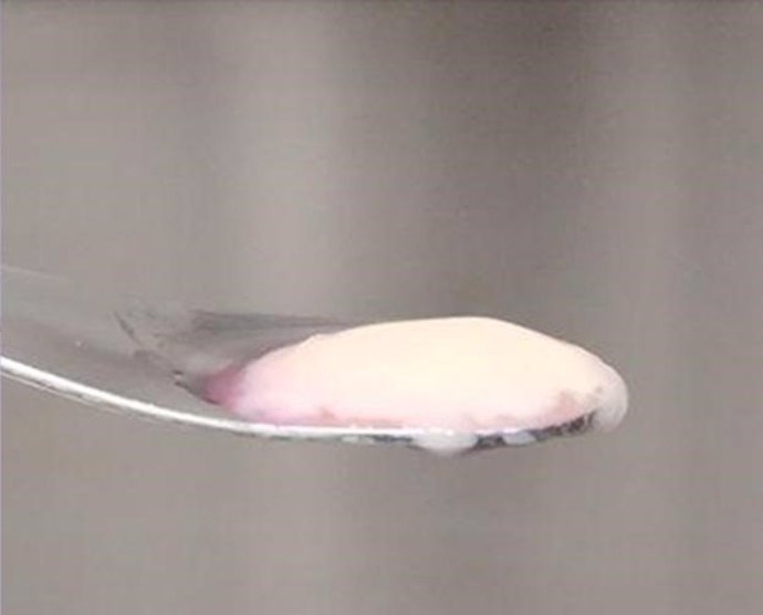 Una muestra de carne cultivada por investigadores de la Universidad McMaster de Canadá, utilizando células de ratones.