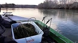 Endesa regula el caudal del Ebro para facilitar el tratamiento que permite reducir la mosca negra