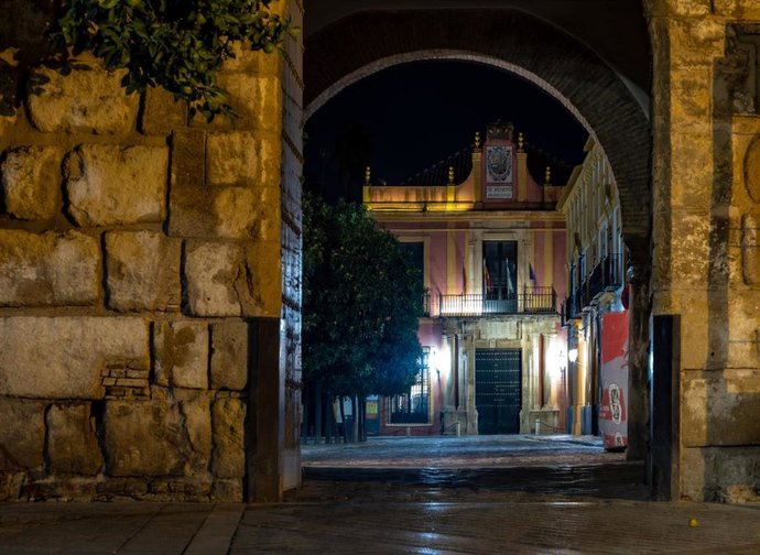 Puerta del Alcázar desde el Patio de Banderas