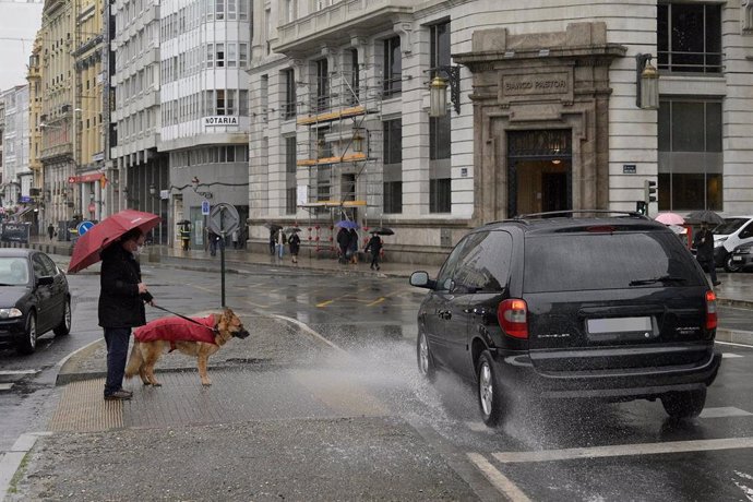 Una persona espera para cruzar con su perro en un paso de cebra de A Coruña, Galicia (España)