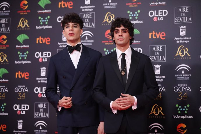 Los Javis posan en la alfombra roja de la XXXIV edición de los Premios Goya, en Málaga (Andalucía, España), a 25 de enero de 2020.