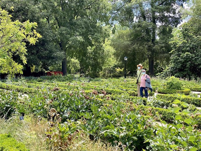 El Real Jardín Botánico perdió el 72,4 % de sus visitantes en 2020 respecto a 2019
