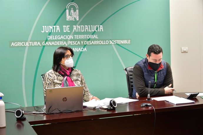 La delegada de Agricultura de la Junta en Granada, María José Martín, informa de las ayudas al sector agrario afectado por la Covid-19