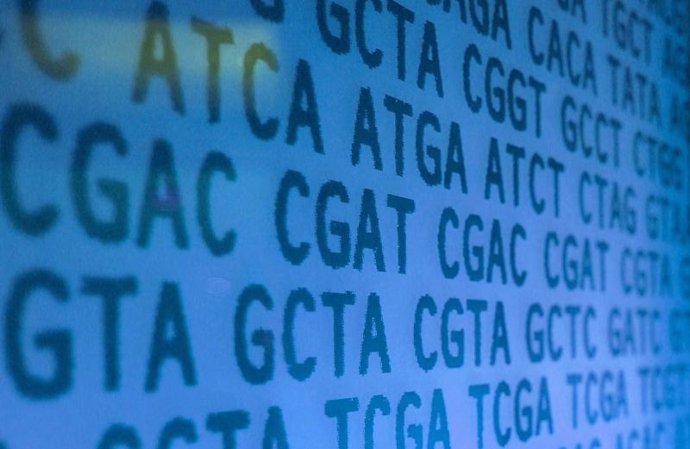 Científicos han descubierto un conjunto de reglas simples que determinan la precisión de la edición del genoma CRISPR/Cas9 en células humanas