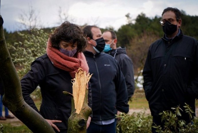 Un momento de la visitatra en una finca de olivos en Vinaixa (Lleida)