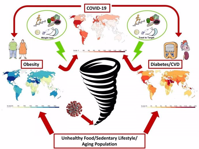 La obesidad y las enfermedades cardiometabólicas no solo desencadenan un curso más severo de COVID-19, la infección por SARS-CoV-2 podría promover el desarrollo de estas afecciones.