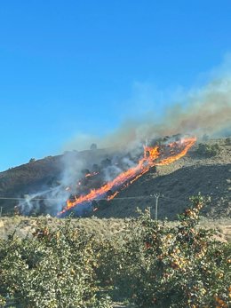 Imágenes cedidas por la Unidad de Defensa cotra los Incendios Forestales de la Dirección General del Medio Natural