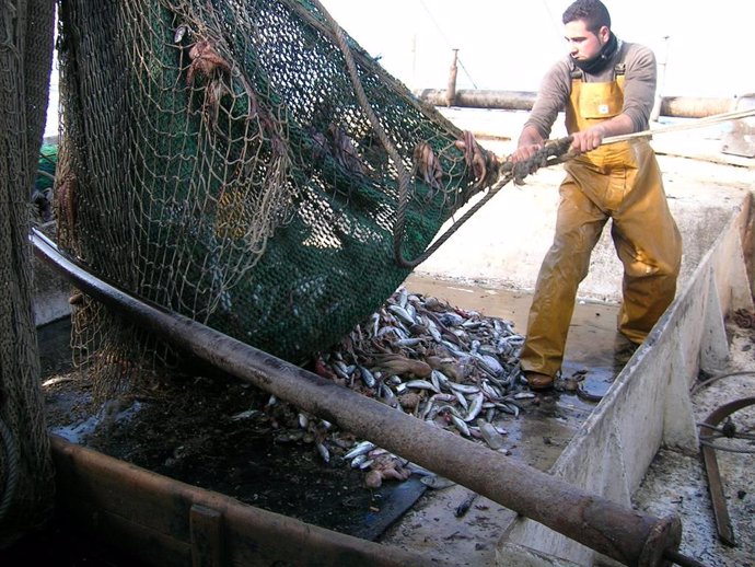 El PP pide al Gobierno negociar con las flotas las restricciones a la pesca de arrastre en el Mediterráneo