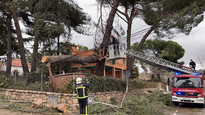 Bomberos de la Comunidad de Madrid realizan tareas de retirada de ramas de árboles