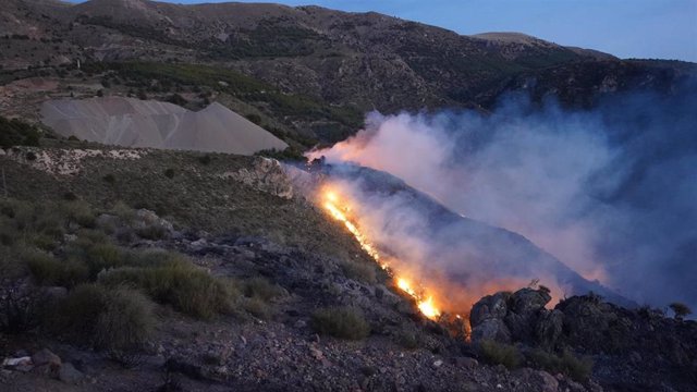 Incendio cerca de las minas de Castala, en Berja (Almería)