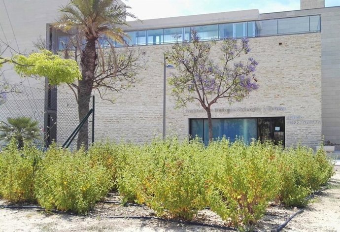 Un estudio de la UMH muestra que los extractos de jara negra y granado disminuyen la resistencia a antibióticos