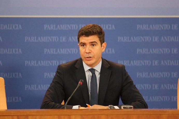 El portavoz parlamentario de Ciudadanos, Sergio Romero, en una imagen de archivo.