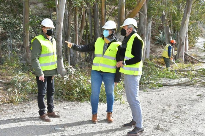 Trabajos de limpieza del cauce del río Seco