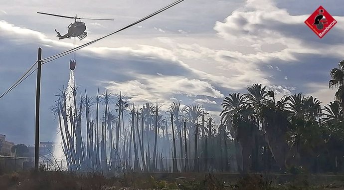 Incendio en un vivero de palmeras en Albatera
