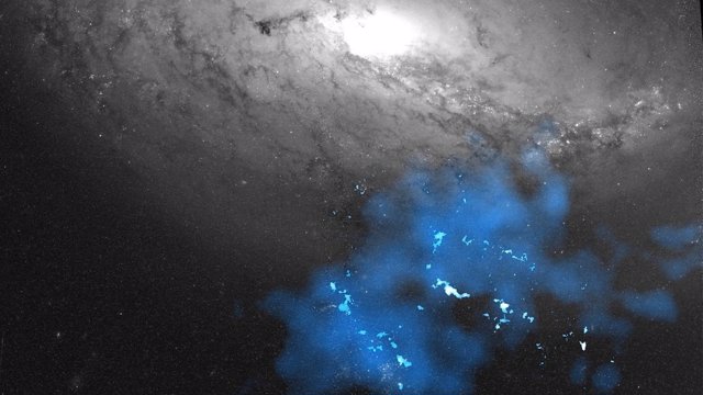 Una galaxia enana de marea (azul) y una galaxia espiral (escala de grises). La Vía Láctea es un ejemplo de galaxia espiral.
