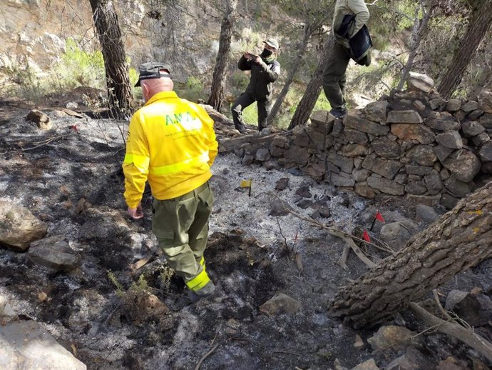 Agentes de la Brigada de Investigación de Incendios Forestales (BIIF) inspeccionan para determinar el origen del incendio forestal en Castala, Berja (Almería)