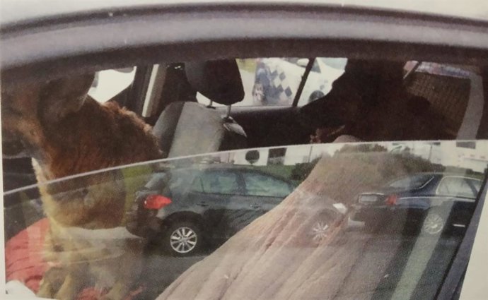 Actuación de la Policía Local de Lugo por el intento de agresión a un agente.