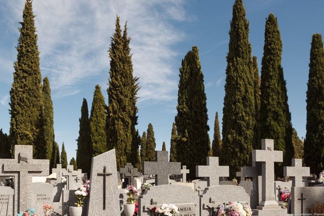 Cementerio de Guadalajara