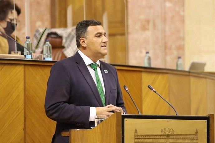 El parlamentario andaluz por Málaga, Carlos Hernández White
