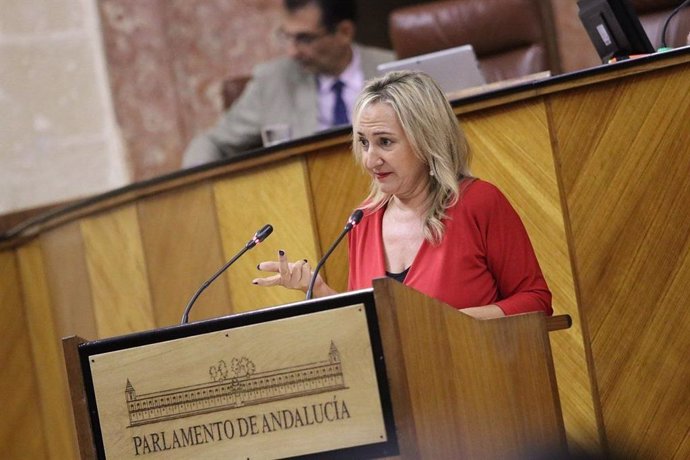 La parlamentaria de Cs por Sevilla, Ana Llopis, en la Cámara andaluza