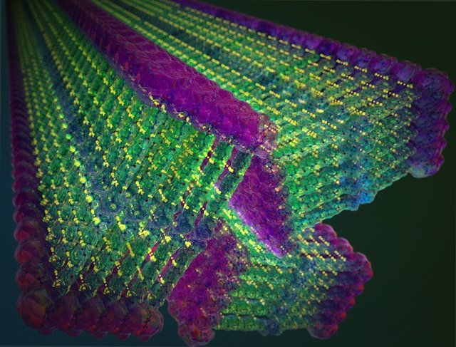 Los investigadores del MIT han diseñado pequeñas moléculas que forman espontáneamente nanocintas cuando se agrega agua. Estas moléculas incluyen un dominio de "aramida" inspirado en Kevlar en su diseño, en verde, que fija cada molécula en su lugar.