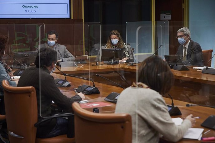 La consejera de Salud del Gobierno Vasco, Gotzone Sagardui, en el parlamento vasco