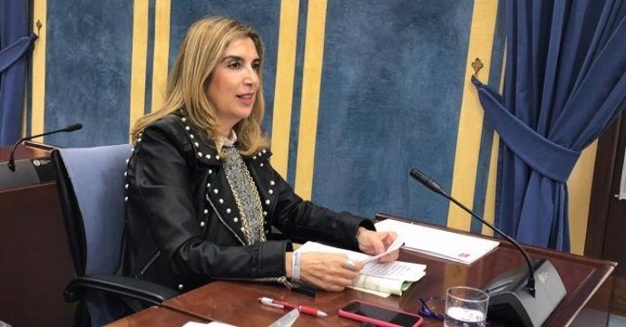 La parlamentaria andaluza por el PSOE de Huelva Manuela Serrano.