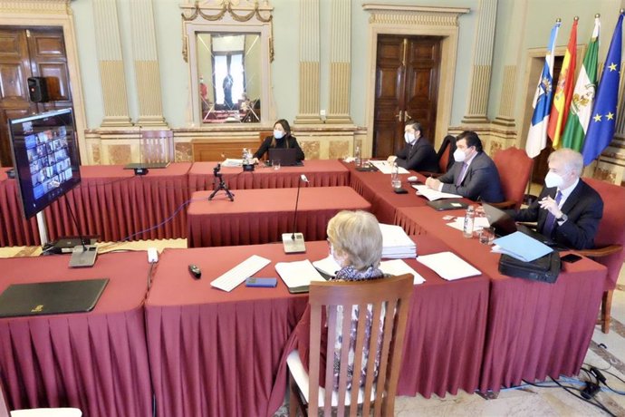 Imagen del Pleno del Ayuntamiento de Huelva, celebrado de forma telemática.