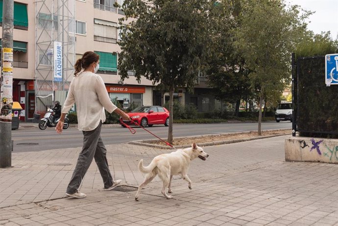 Una mujer paseando a un perro por la calle