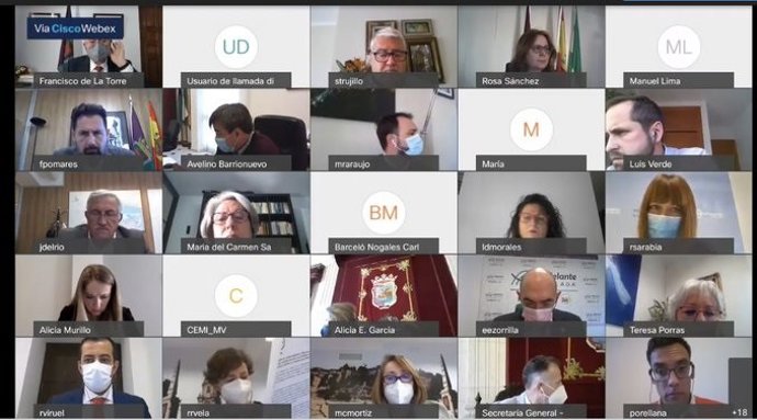 Pleno telemático del Ayuntamiento de Málaga