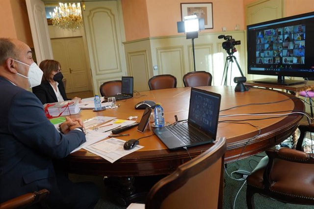 Pleno telemático de la Diputación de Segovia.